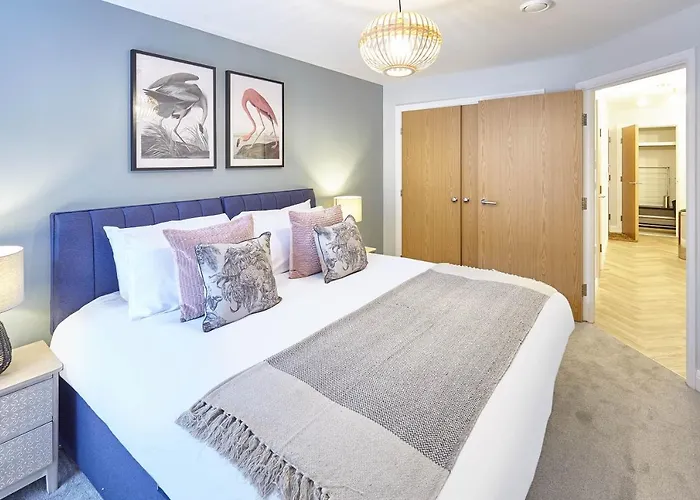 Host & - Turnstones * 惠特比