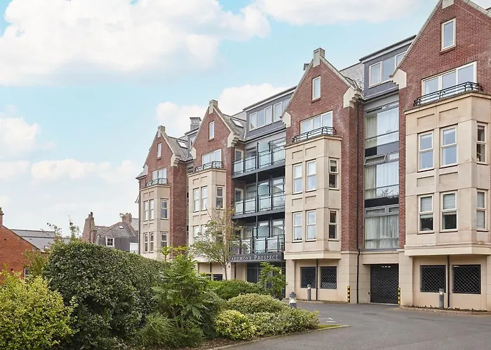 Host & - Turnstones 惠特比